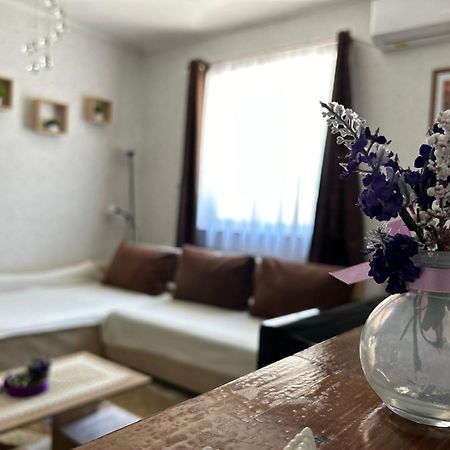 Levendula Vendeghaz Villa Balatonfoldvar Luaran gambar